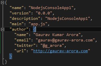 a typical package json file